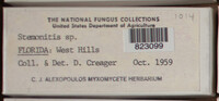 Image Associated With the Occurence